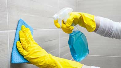 Cleaning Companies Hamilton